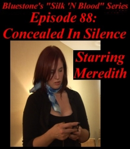 Episode 88a - Concealed In Silence - Short Version