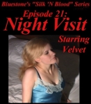 Episode 21 - Night Visit