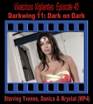 V.V.#45 - Darkwing 11: Dark on Dark