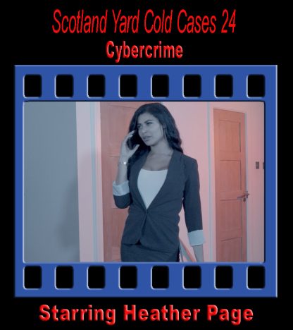 SYCC#24 – Cybercrime