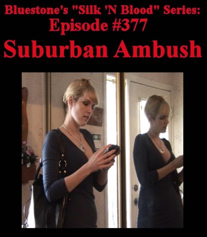 SNB-#377 – Suburban Ambush